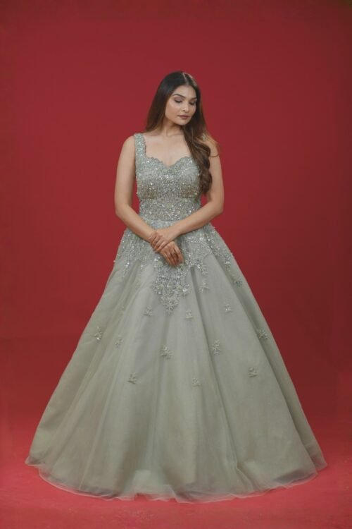 Pista Net Designer Gown with Heavy Handwork